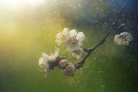 Allergie o intolleranze? Arriva la rubrica per te!