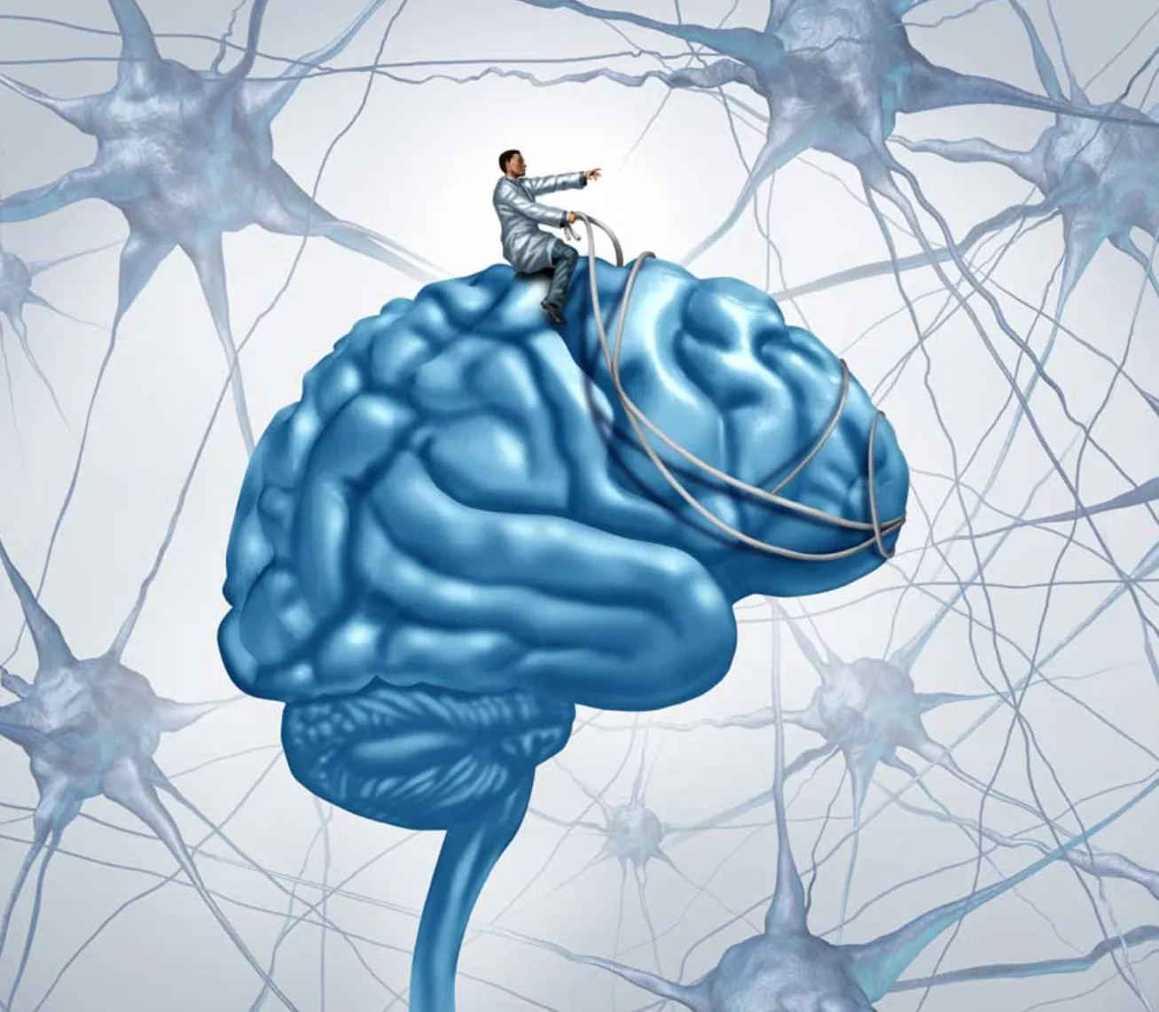 Dalle neuroscienze ai trattamenti psicologici basati sull’evidenza 