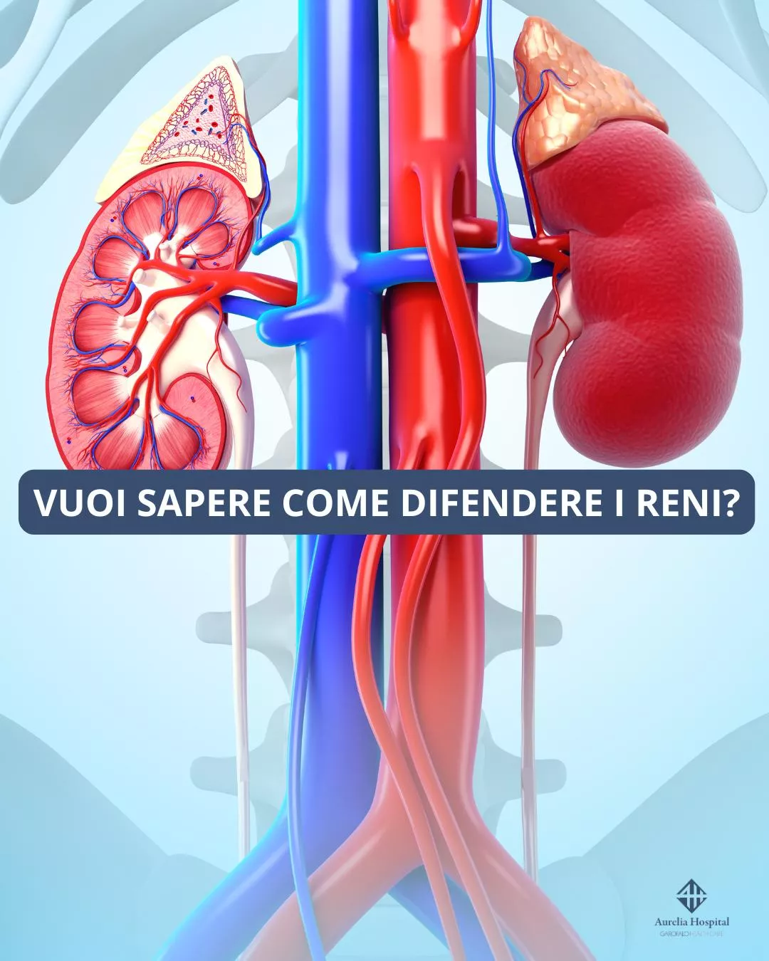 Sette regole d'oro per difendere i tuoi reni 